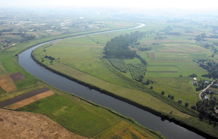 Zraniona eskadra