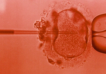 Hybrydy stały się prawdą