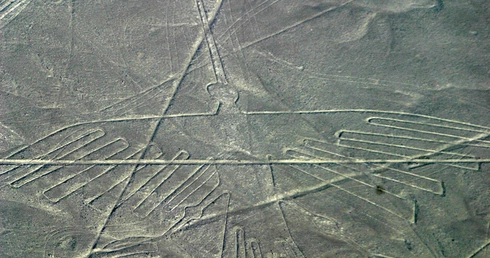 Kondor z Peru
