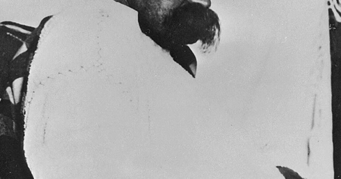 Nietzsche i głos zza krzesła