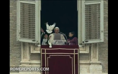 Gołębie lubią papieża