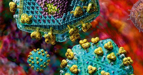 AIDS - choroba (jeszcze długo) niezwyciężona