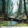 Karboński las w Zabrzu