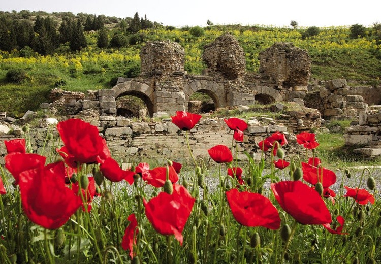 Turcja i Grecja - Efez, Troja, Milet