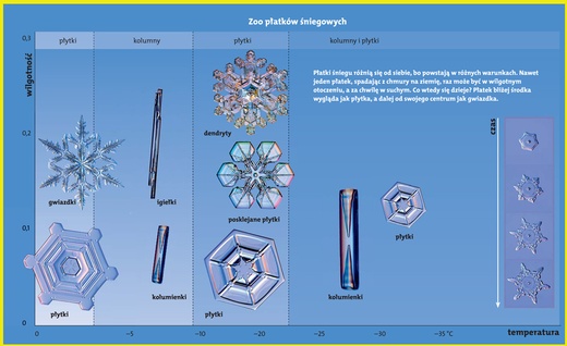 Rodzaje płatków śniegu