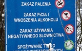 U biegnącego wilka