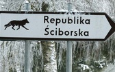 U biegnącego wilka