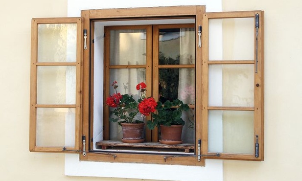 Dopłacą do kwiatków