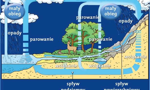 Woda wodzie nierówna