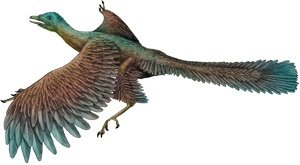 Nie tylko dinozaury