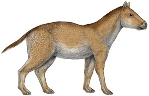 Pierwotne konie
