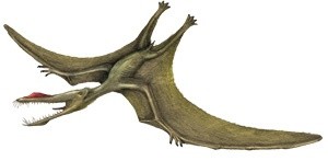 Pterozaur