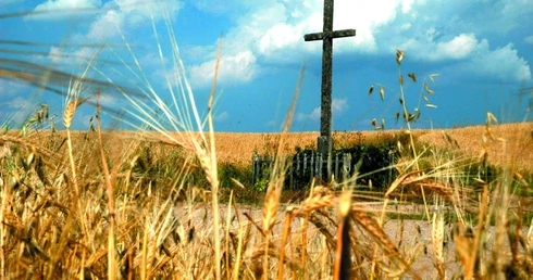 Chleb pokornych