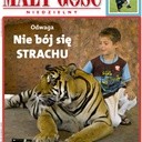 MGN 03/2011