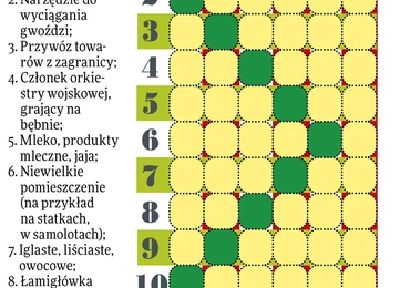 Mózgołamacze