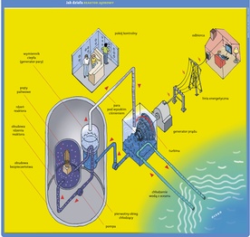 Jak działa REAKTOR JĄDROWY