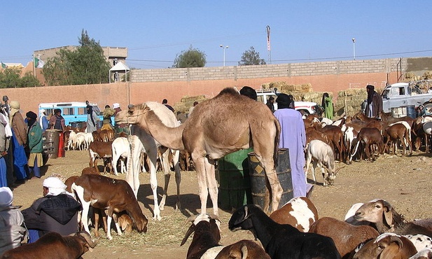 Zamach na Saharze