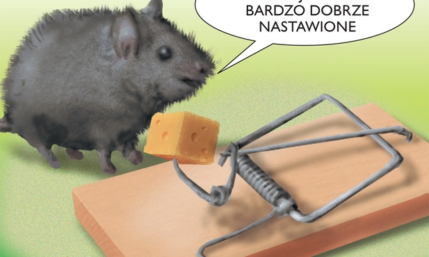 Kawał dobrej roboty