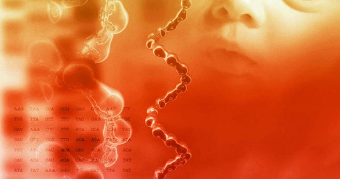 Pozwolono na tworzenie hybryd