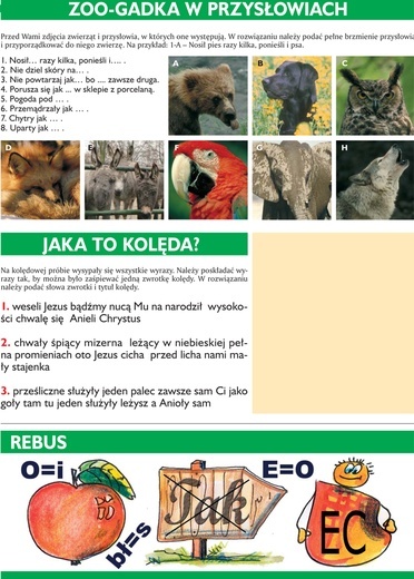 Mózgołamacze