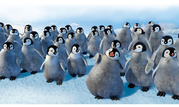 Czy pingwiny spiewają?