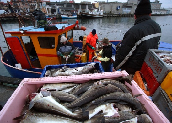 Jak nie konfliktować naukowców i rybaków?