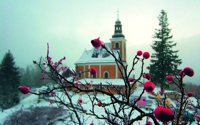 Śliczne, výborné, schöne