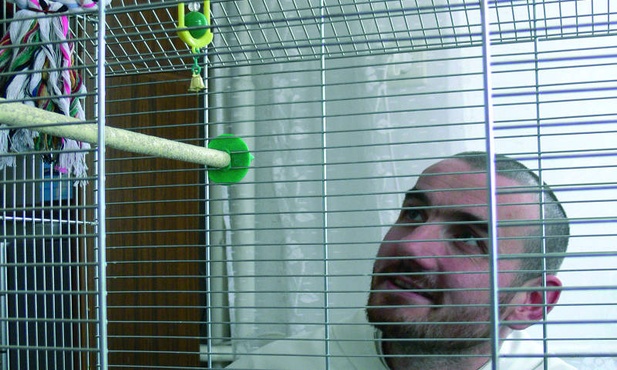 A papuga ani rusz…