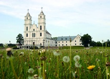 Kraj, w którym klękają konie