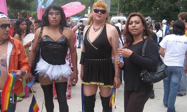 Książka o skutkach rewolucji seksualnej