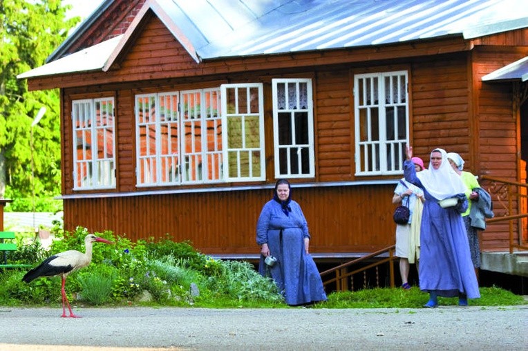 Bóg to jest porządek