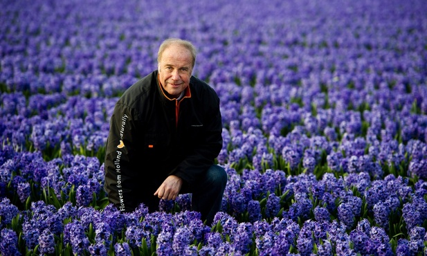 Charles van der Voort, holenderski florysta wśród hiacyntów które pojadą do Rzymu