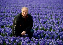 Charles van der Voort, holenderski florysta wśród hiacyntów które pojadą do Rzymu