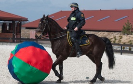 Trening konnej sekcji strażników