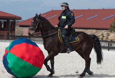 Trening konnej sekcji strażników