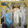 Niedziela 15/2012