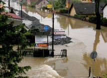 Polder Bijasowice