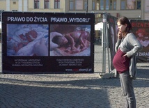 Bydgoszcz: Antyaborcyjna wystawa wróciła