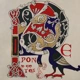 W skryptorium