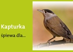 6 maja 2012