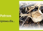 9 maja 2012