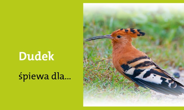 Królowej Aniołów