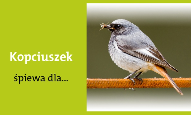 Matki przedziwnej