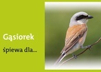 21 maja 2012