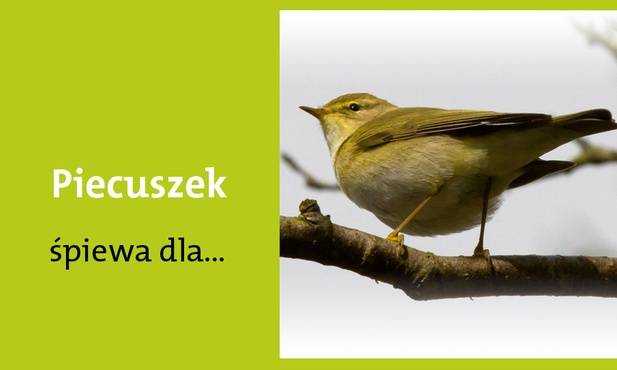 Bramy niebieskiej