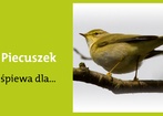 26 maja 2012