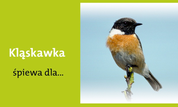 Królowej pokoju