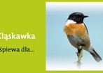 29 maja 2012