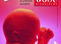 Komu potrzebna jest ta wojna?