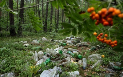 Szwedzi kupią polskie śmieci?